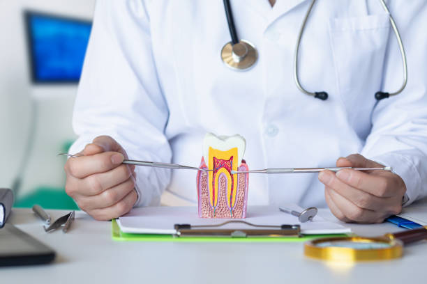 Best Orthodontic Emergency Dentist in Robinwood, MD
